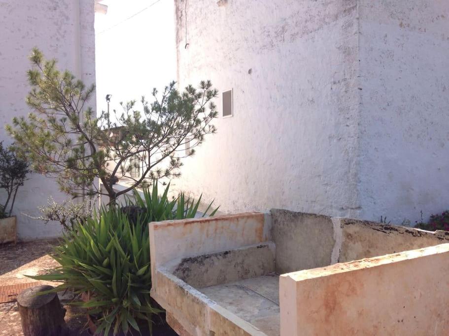 Casa Stella Nell'Aia Villa Cisternino Bagian luar foto